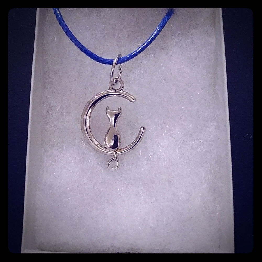 Silver Cat In Moon Necklace